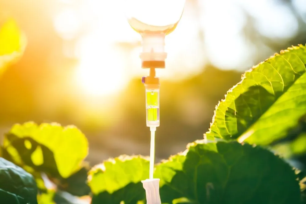 Boost Your Energy Levels with Effective Nutrient Strategies