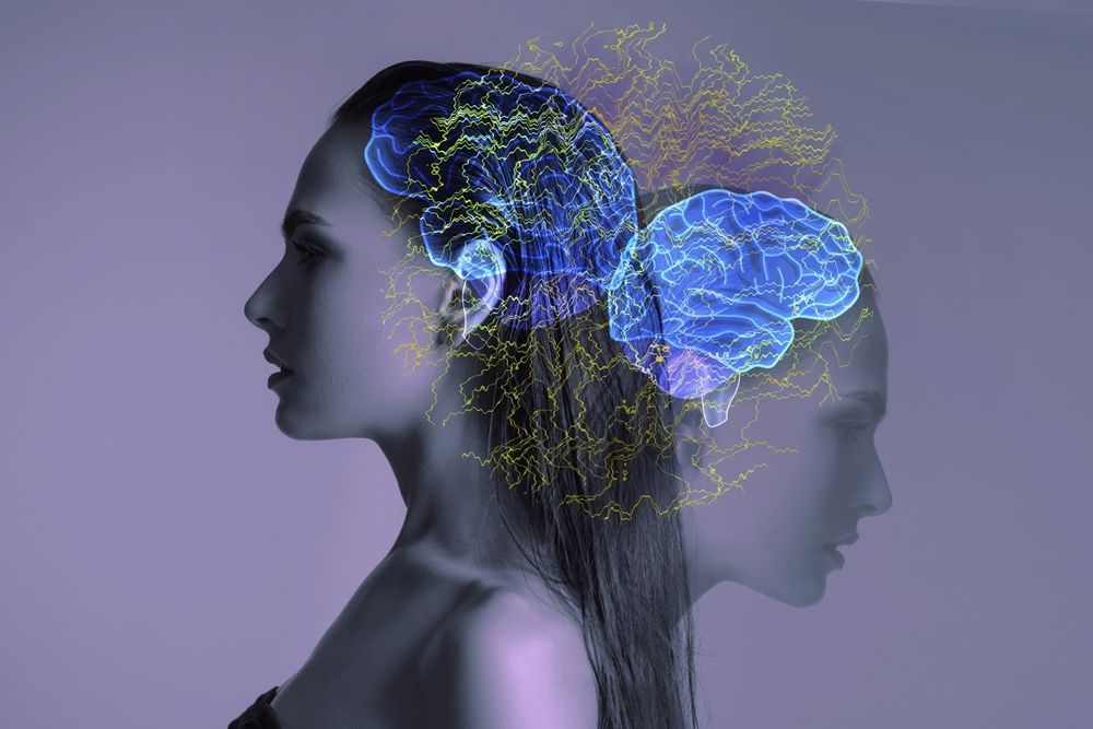 The Importance of Hydration in Maintaining Cognitive Function